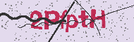 Captcha認証コード